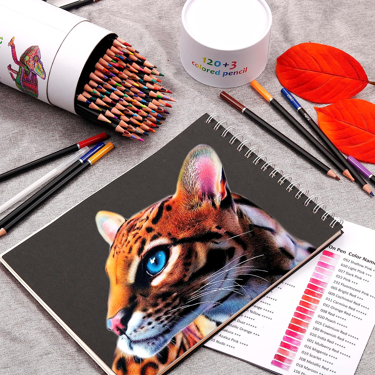 KALOUR Lot de 120 crayons de couleur de qualité supérieure pour livres de  coloriage pour adultes – Cœur souple – Crayons professionnels pour dessin